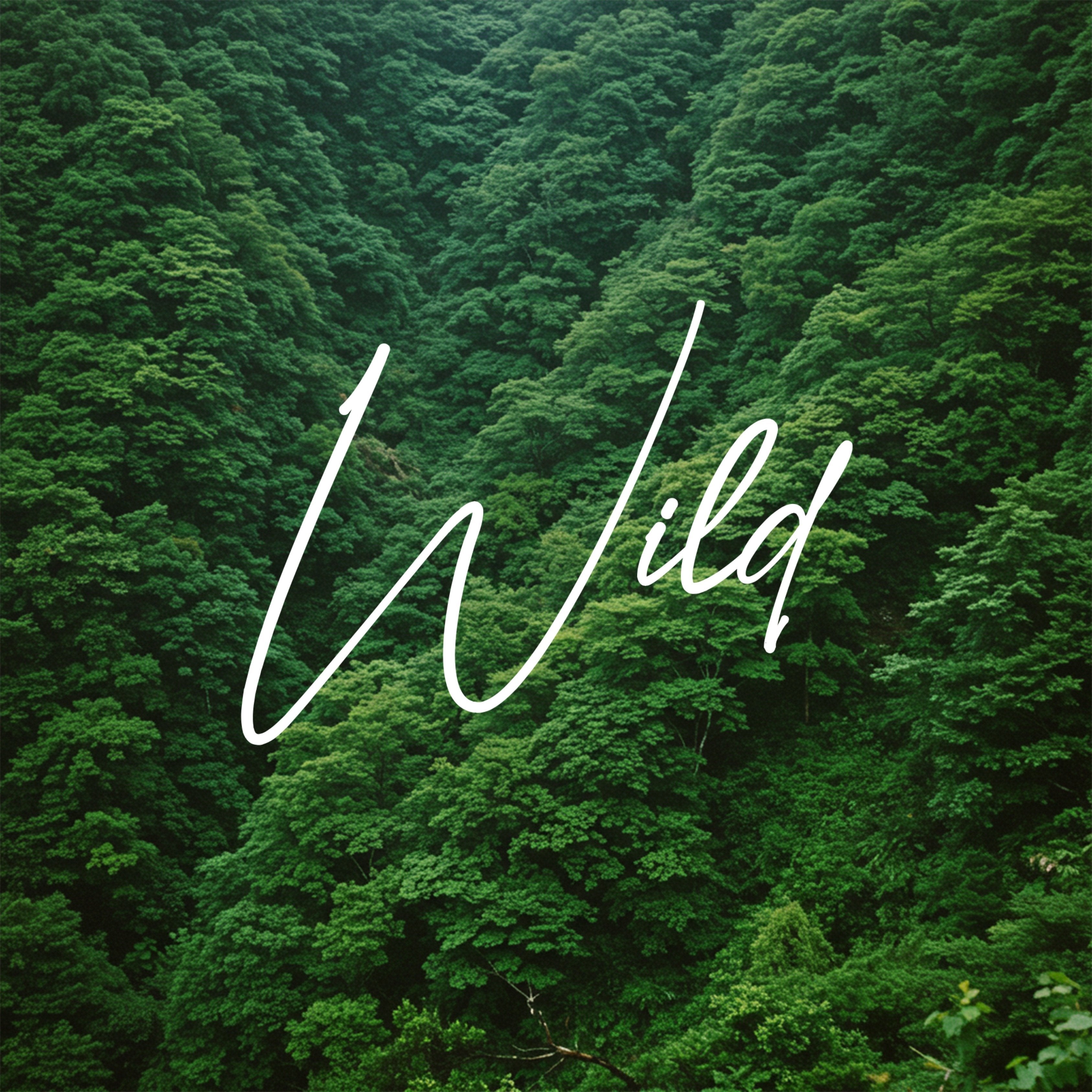 Wild Collection