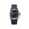 Assaf Watch