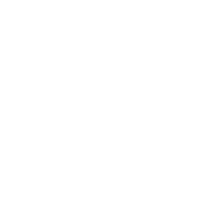 Assaf Trading LLC