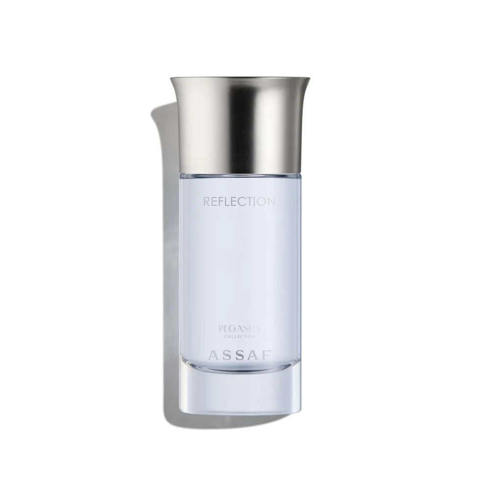 PEGASUS REFLECTION