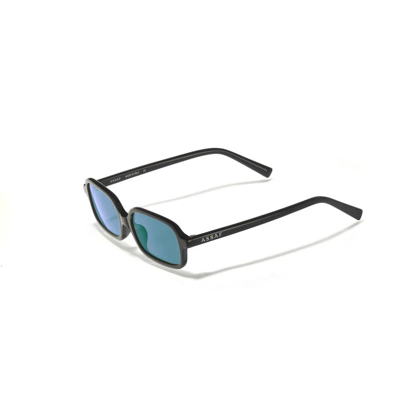 ARROGATE 25 Sunglasses