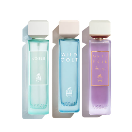 مجموعة جمعة عساف